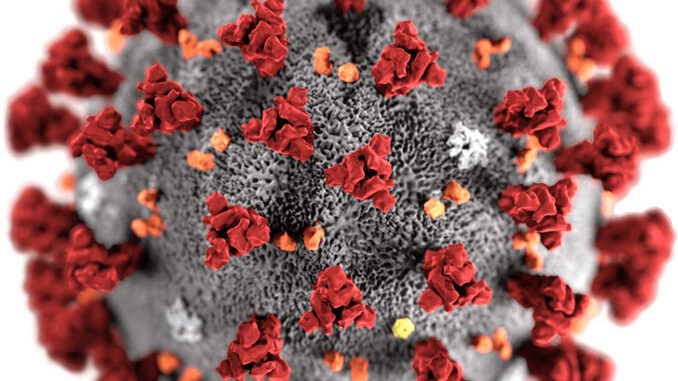 SARS-CoV-2 illustration SARS-CoV-2 illustration