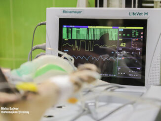 EKG monitoring (Mirko Sajkov/mirkosajkov/Pixabay)